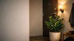 Jedna rastlina, ktorá podľa feng shui pri vchodových dverách podporí prosperitu