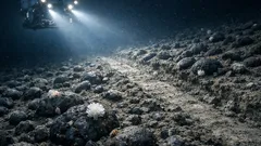 Hlbokomorská ťažba v Clarion‑Clippertonovej zóne: čo môže zmeniť na dne oceánu