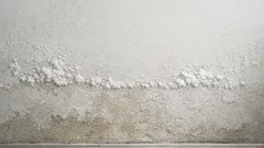 Výkvety na stenách: prečo vzniká biely povlak a ako ho odstrániť natrvalo