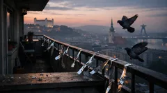 Ako odradiť holuby z balkóna pomocou hliníkovej fólie: jednoduchý trik, ktorý stojí pár centov