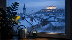 Prečo zamiokulkas v zime žltne a ako ho rýchlo zachrániť